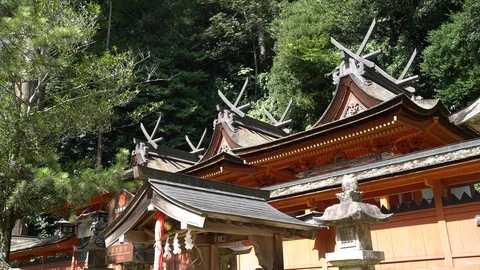 Shrine, Nara in Japan. Stock Footage 115876966