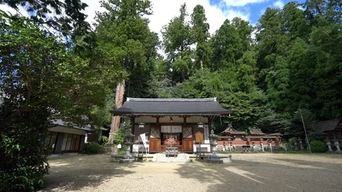 Shrine, Nara in Japan. Stock Footage 115876973