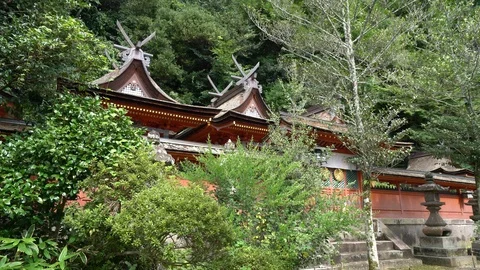 Shrine, Nara in Japan. Vídeo Stock 115877018