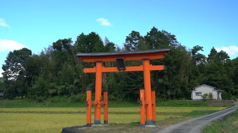 Shrine, Nara in Japan. Stock Footage 115877024