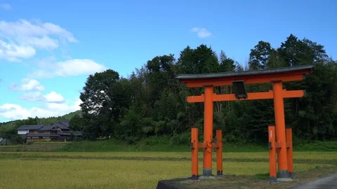 Shrine, Nara in Japan. Stock Footage 115877030