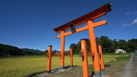 Shrine, Nara in Japan. Vídeos de archivo 115877129