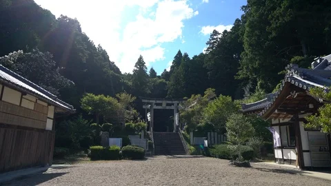 Shrine, Nara in Japan. Stock Footage 115877136