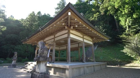 Shrine, Nara in Japan. Stock Footage 115877199