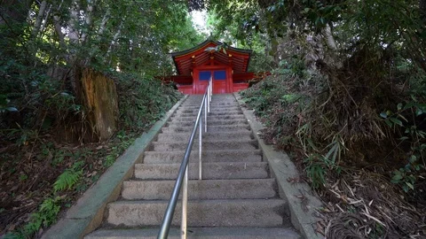 Shrine, Nara in Japan. Stock Footage 115877212