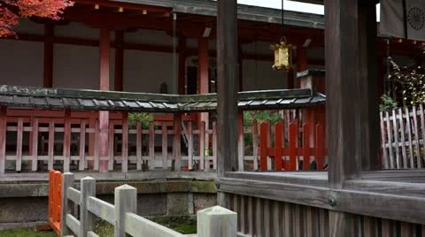Shrine In Nara Park In Fall Stock Footage 21708271