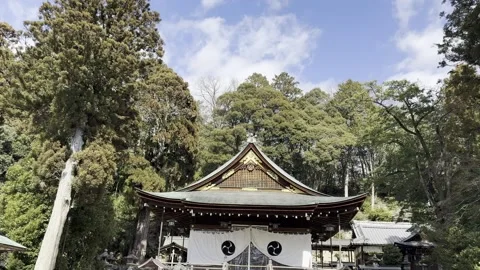 A Shrine in Omihachiman975 Stock Footage 302563046