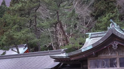 Shrine rooftops among trees Wide shot in Hachimangu Shrine Hakodate Japan 動画素材 324959710