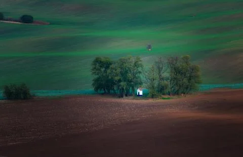 A shrine standing in a grove in the fields Stock-Fotos