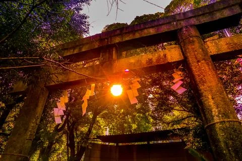 Shrine torii gate reflected in the setting sun Stock Photos