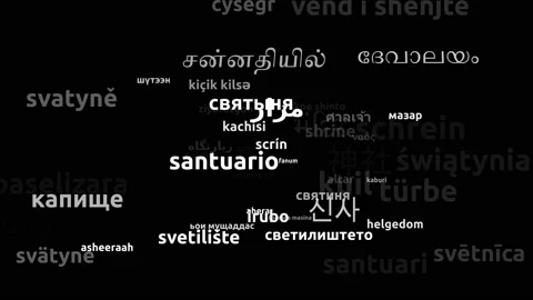 Shrine Translated in 56 Worldwide Languages Endless Looping 3d Zooming Wordcl Stock-Footage 145206889