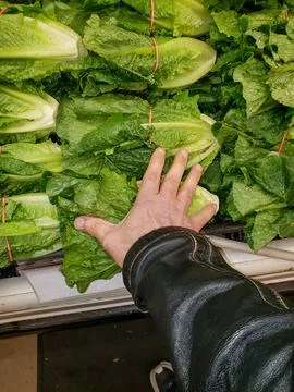 Shrinking grocery Foto stock