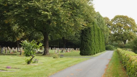 Shrub and Graves along Small Road in Cemetery, Dolly Gimbal Walk Video stock 222586932