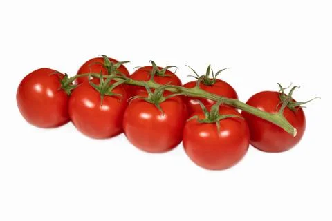 Shrub of red tomatoes on a white background Stock Photos