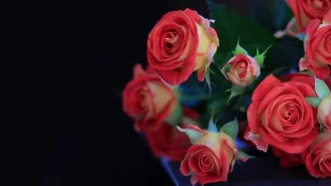 Shrub roses on the table Stock Footage 170434057