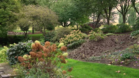 Shrubb Stock Footage 264626204