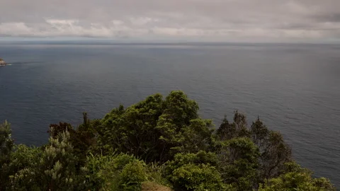 Shrubs on a Cliff's Edge. Moinhos, Sao Miguel, Azores, Portugal. Stock Footage 238791744