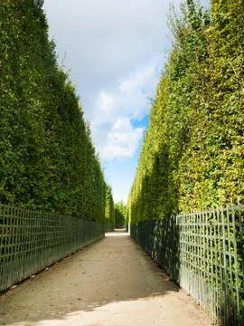 Shrubs corridor Photos