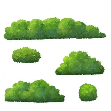 Shrubs in the park Stock Illustration