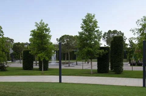 Shrubs Stock Photos