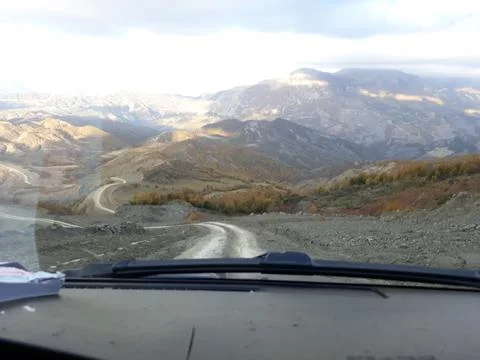 Shrubs on the plains Foto stock