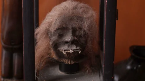 Shrunken Head Hunter Exhibit Indian Cannibals Stock Footage 38952245