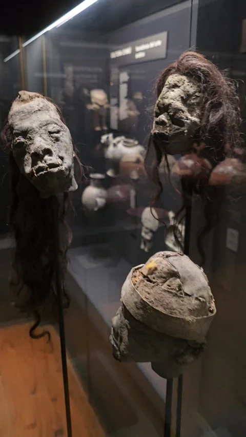 Shrunken Heads in Museum Display Case, Museo Fonck, Viña del Mar, Chile Stock Footage 331548102