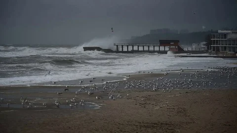 Shtorm Video stock 75074072