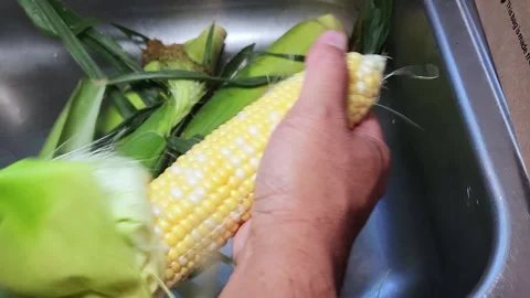 Shucking or husking the corn Stock-Footage 338203136