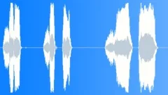 Shut Up - Female VoiceoverSound Effect