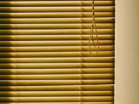 Shutter Stock Photos