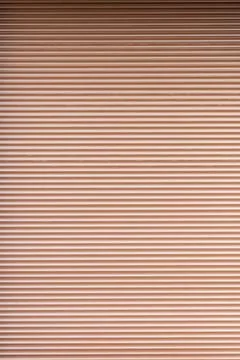 Shutter Stock Photos