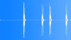 Shutter Sound Effect