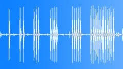 Shutter Sound Effect