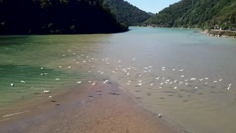 SHUTTERSTOCK 16 Video stock 229782490