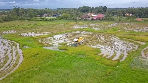 Shutterstock 5 Video stock 98003215