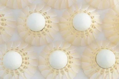 Shuttle cock Stock Photos