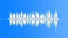 Shuttle Ride Announcement 6 Sound Effect