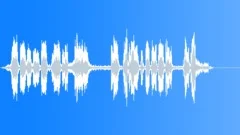 Shuttle Ride Announcement 7 Sound Effect