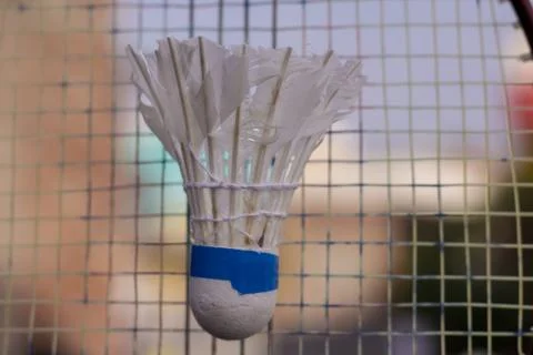 Shuttlecock with badminton Stock Photos