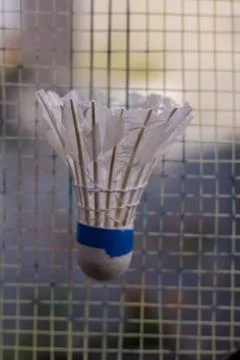 Shuttlecock with badminton Stock Photos