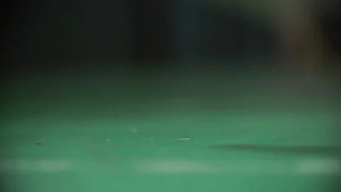 Shuttlecock hitting the ground in slow motion Video stock 78155800