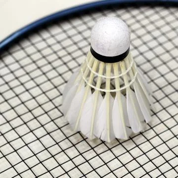 Shuttlecock on racket Stock Photos
