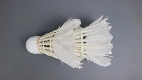 Shuttlecock with white feathers on gray background Stock Photos