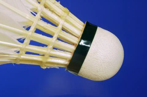 Shuttlecocks with feathers for badminton . Stock Photos