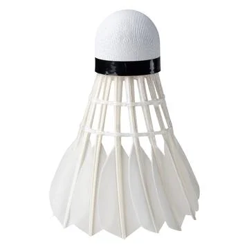 Shuttlecocks. Goose Feather Badminton Shuttlecocks. Stock Photos