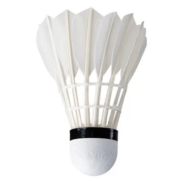 Shuttlecocks. Goose Feather Badminton Shuttlecocks Stock Photos
