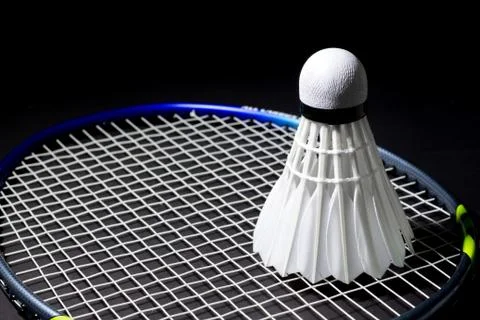 Shuttlecocks on the racket. Stock Photos