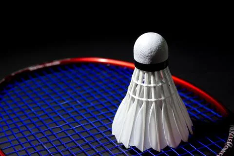 Shuttlecocks on the racket. Stock Photos