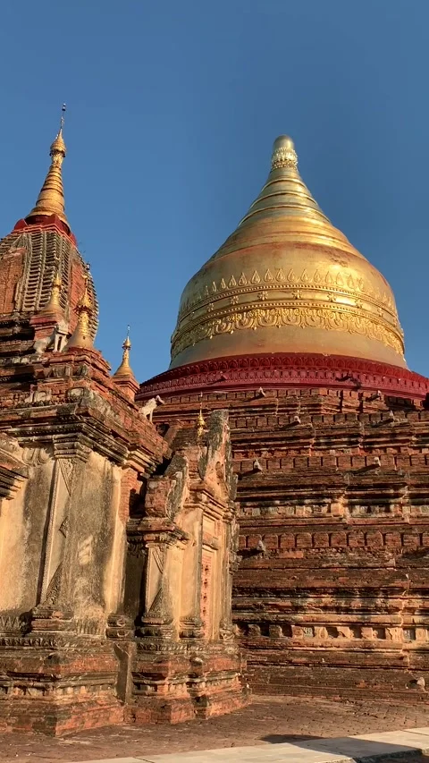 Shwezigon temple in Bagan, Myanmar 库存影片 343736449